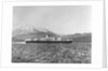 Passenger/cargo liner 'Magdalena' (Br, 1949), Royal Mail Lines Ltd, under way by Unknown