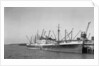 The 'Opawa' (Br, 1931) at quayside by unknown