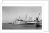 The 'Opawa' (Br, 1931) at quayside by unknown