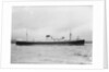 The 'Waimarama' (Br, 1938) by unknown