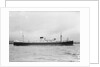 The 'Waimarama' (Br, 1938) by unknown