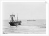 Asiatic' (Br, 1872) by unknown