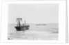 Asiatic' (Br, 1872) by unknown