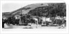 Passenger/cargo liner 'Dunrobin Castle' (Br, 1875), D. Currie & Co., at moorings by unknown