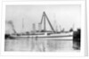 The cross channel turbine steamer 'Munich' (Br 1908) as a hospital ship at quayside, under sheerlegs by Anonymous