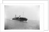 Starboard bow view of Train Ferry No. 2 (1917) by unknown