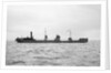 'Chelwood' (Br, 1928), under way by unknown