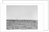 'Essex Lance' (Br, 1918) at anchor in Bedford Basin, Halifax, Nova Scotia, Canada by unknown