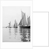 A tug and sailing vessels on the River Torridge off Appledore in Devon by unknown