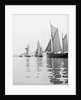 A tug and sailing vessels on the River Torridge off Appledore in Devon by unknown