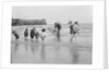 Boys and girls watch intently as a local fisherman wields his net in Scarborough, Yorkshire by Samuel Coupe Fox