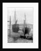 Appledore by unknown