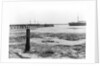 A view looking from the shore towards Shotley pier at low tide by Smiths Suitall Ltd.