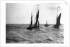 The dandy-rigged trawler 'Speranza' (1891) [LT431] under sail, with an unidentified trawler being towed by the paddle tug 'Imperial' (1879) at Lowestoft, Suffolk by Smiths Suitall Ltd.