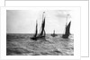 The dandy-rigged trawler 'Speranza' (1891) [LT431] under sail, with an unidentified trawler being towed by the paddle tug 'Imperial' (1879) at Lowestoft, Suffolk by Smiths Suitall Ltd.