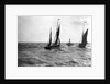 The dandy-rigged trawler 'Speranza' (1891) [LT431] under sail, with an unidentified trawler being towed by the paddle tug 'Imperial' (1879) at Lowestoft, Suffolk by Smiths Suitall Ltd.