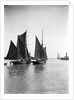 The trawler 'Refuge' (1896) [LT715] under sail, close to the trawler 'Greyhound' (1905) [LT404], in the outer harbour outward bound at Lowestoft, Suffolk by Smiths Suitall Ltd.