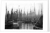 A view of trawlers in the basin at Lowestoft by Smiths Suitall Ltd.