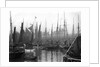 A view of trawlers in the basin at Lowestoft by Smiths Suitall Ltd.