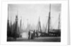 Trawlers berthed in the outer harbour with the morning mist rising at Lowestoft, Suffolk by Smiths Suitall Ltd.