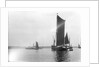 A view across the River Orwell from near Pin Mill with the spritsail barge 'Freston Tower' (1889) in the foreground by Smiths Suitall Ltd.