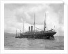'Magdalena' (Br, 1889), at anchor off Trinidad by unknown