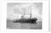 'Magdalena' (Br, 1889), at anchor off Trinidad by unknown