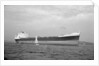 'Barlby' (Br, 1962) by unknown