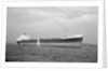 'Barlby' (Br, 1962) by unknown