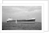 'Barlby' (Br, 1962) by unknown