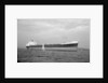 'Barlby' (Br, 1962) by unknown