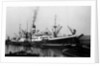 'City of Cairo' (Br, 1915), at quayside by unknown