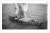 Indigenous boat at sea, laden with sacks by unknown
