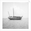 A port broadside view of a small fisher type junk anchored at Penang by David Watkin Waters