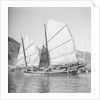 An Aberdeen fisher type junk under sail in Hong Kong harbour. by David Watkin Waters