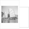 An Aberdeen fisher type junk under sail in Hong Kong harbour. by David Watkin Waters
