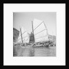 An Aberdeen fisher type junk under sail in Hong Kong harbour. by David Watkin Waters