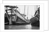 A starboard quarter view of an Hangchow Bay trader type junk moored with other junks at Shanghai by David Watkin Waters