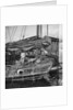 A close view of the starboard bow of a Swatow trader type junk at Kowloon, Hong Kong by David Watkin Waters