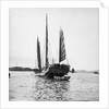 The Hong Kong small trader type junk T3512H under sail at Sham Shui Po, Hong Kong by David Watkin Waters