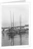 A bow view of two Tsingtao fisher type junks moored stern-on to the shore at Tsingtao by David Watkin Waters