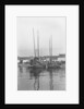 A bow view of two Tsingtao fisher type junks moored stern-on to the shore at Tsingtao by David Watkin Waters
