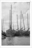 A bow view of the lorcha type junk 0667 moored between other junks at Shanghai by David Watkin Waters
