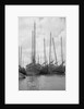 A bow view of the lorcha type junk 0667 moored between other junks at Shanghai by David Watkin Waters