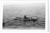 Man on a small boat by unknown