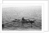 Man on a small boat by unknown