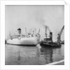 The 'Brasil Star' and the tug Napia by Grierson