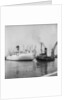 The 'Brasil Star' and the tug Napia by Grierson