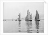 A tug and sailing vessels on the River Torridge off Appledore in Devon by unknown