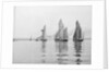 A tug and sailing vessels on the River Torridge off Appledore in Devon by unknown
